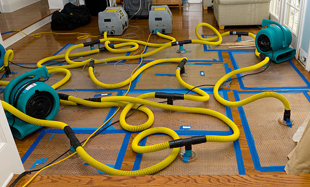 Professional Basement Flood Cleanup technician working in West Alexandria, OH